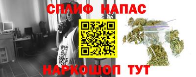 индика Новозыбков