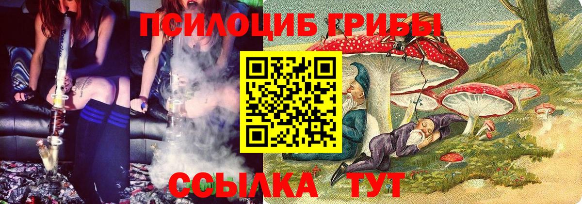 Псилоцибиновые грибы Psilocybine cubensis  Вход с VPN  Галлюциногенные грибы прущие грибы  Усолье-Сибирское 